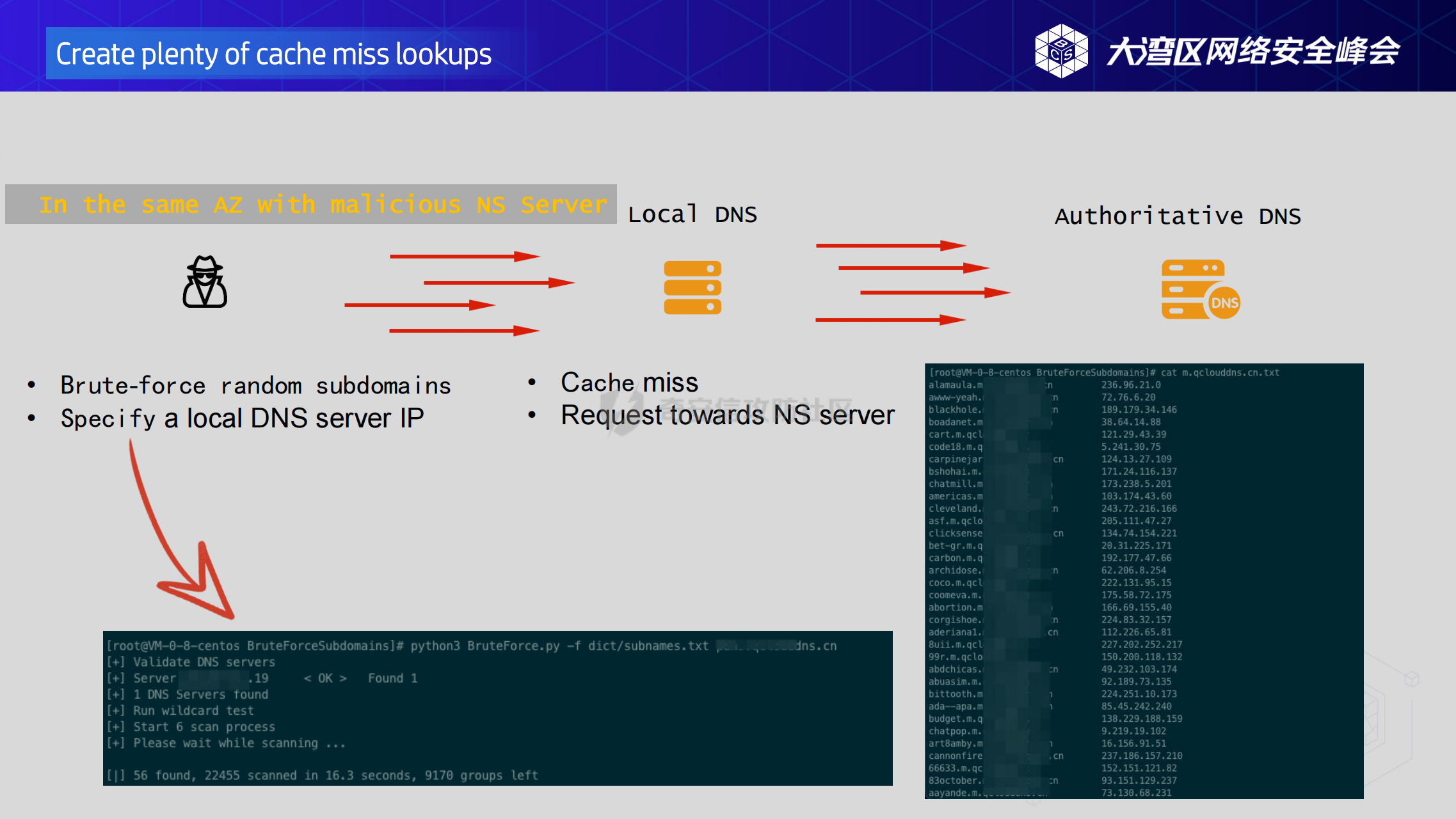 How to perturb cioud DNS service_29.png
