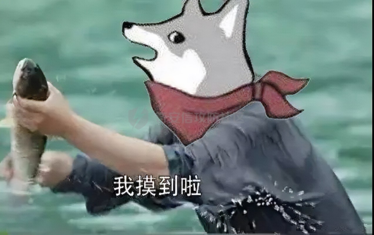 摸鱼.jfif