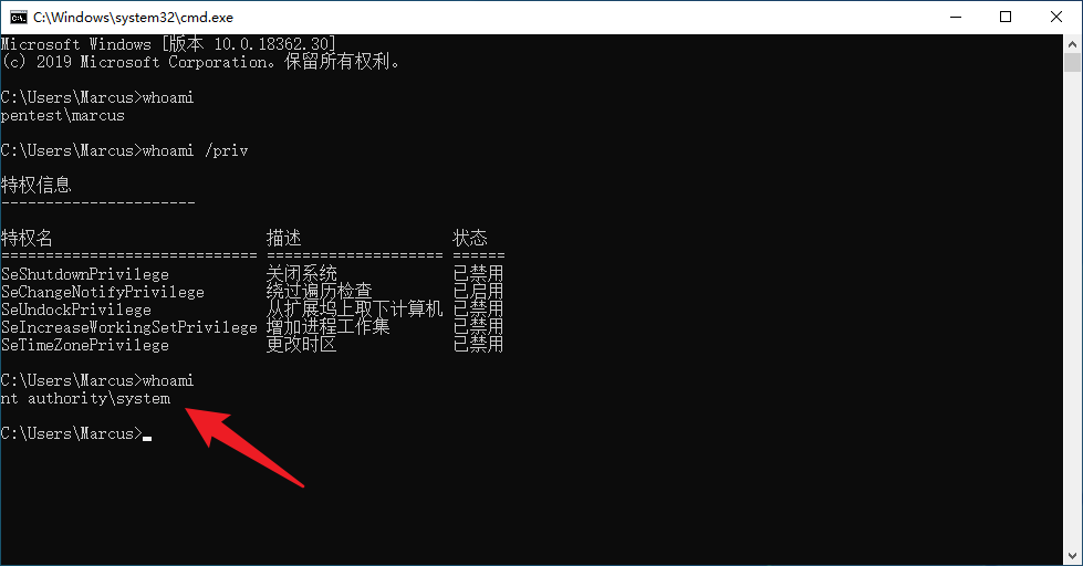 image-20230619204522895