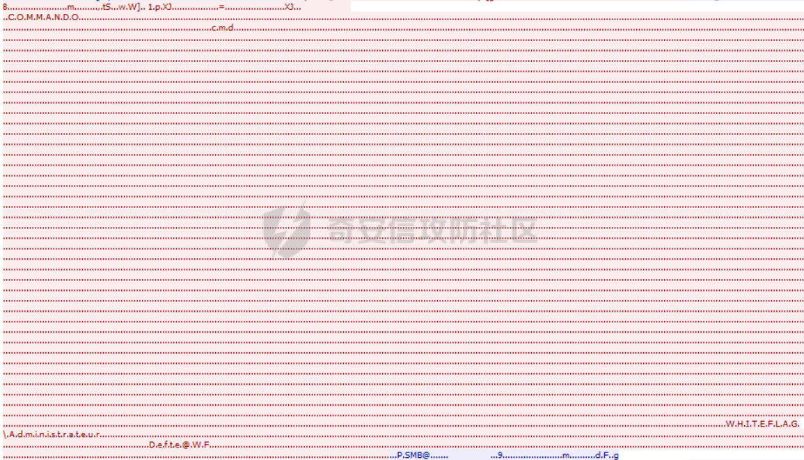 cleartext-packet.png
