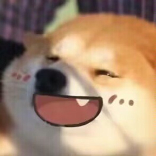 都非我所愿阿