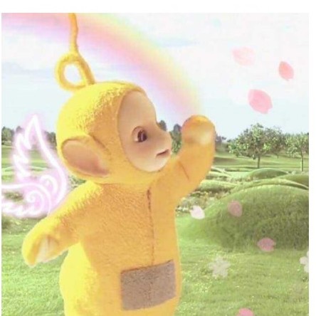 楠爷