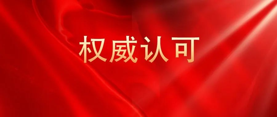 五连冠！奇安信安全咨询服务稳居市场榜首，客户信赖之选